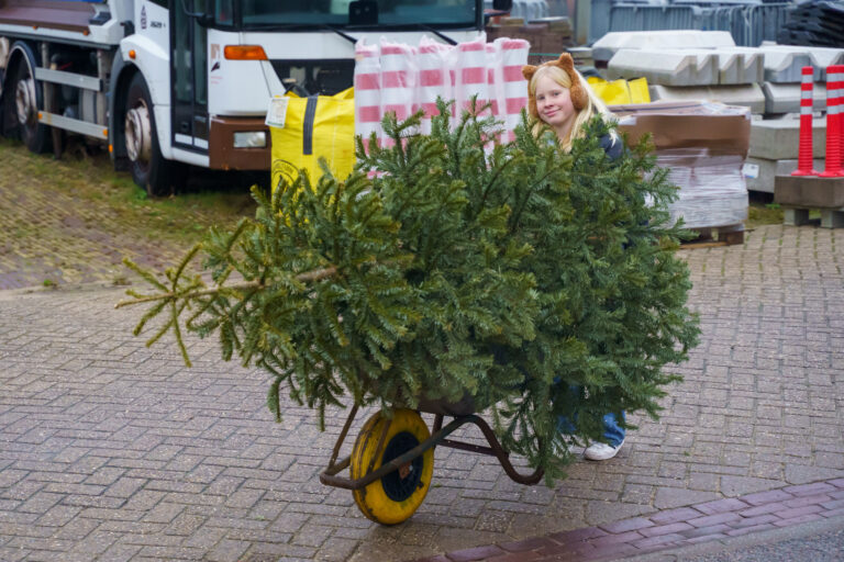 Kinderen leveren kerstbomen in bij gemeente
